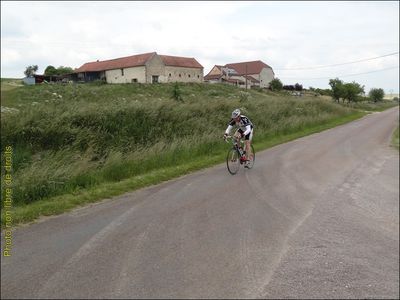 14-06-01_Chpt_Bourgogne_Yrouerre059.jpg