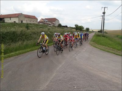 14-06-01_Chpt_Bourgogne_Yrouerre075.jpg